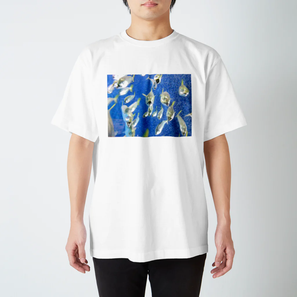 soma05の魚の大群 スタンダードTシャツ