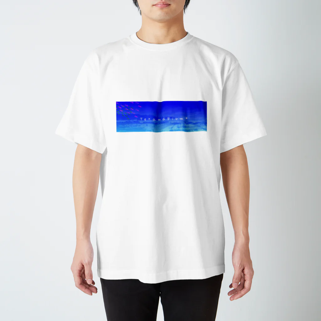 何気ない日常に小さな幸せのTeramaRium* スタンダードTシャツ