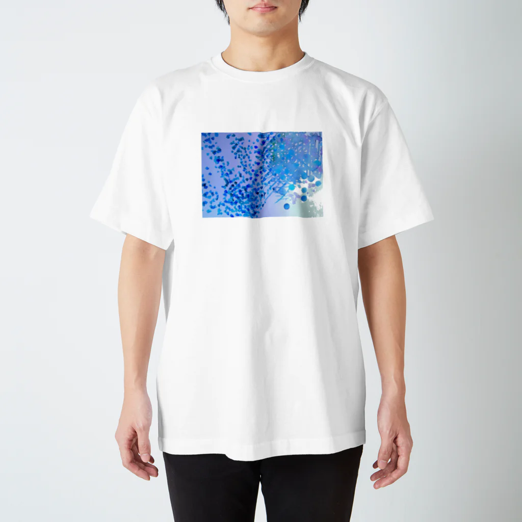 アクアリトゥンのFragments スタンダードTシャツ