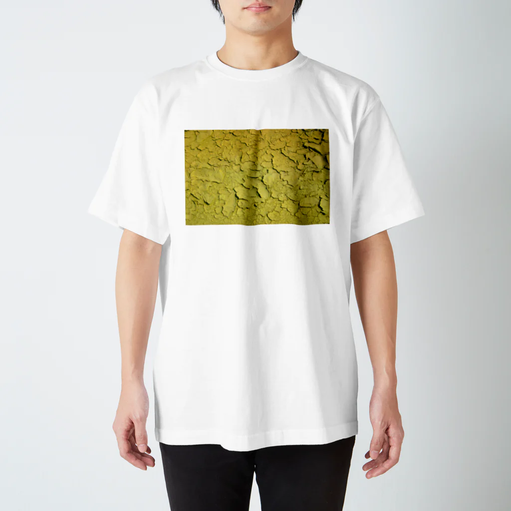 EagleValleyのKAWAKI_y スタンダードTシャツ