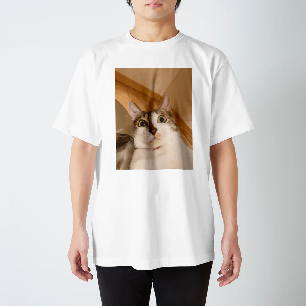 carlosのOMG my Cat Regular Fit T-Shirt