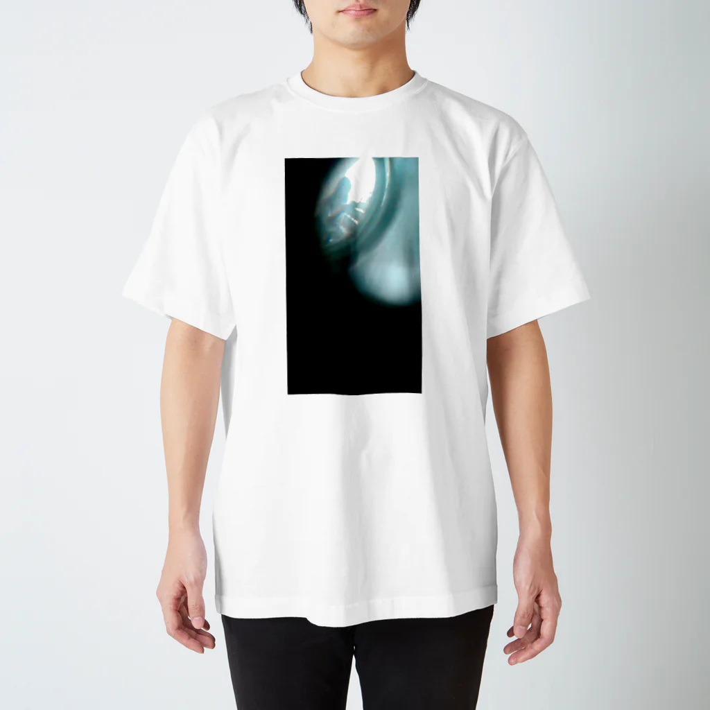 ↑ﾉ☡大の地雷 訪問者 スタンダードTシャツ