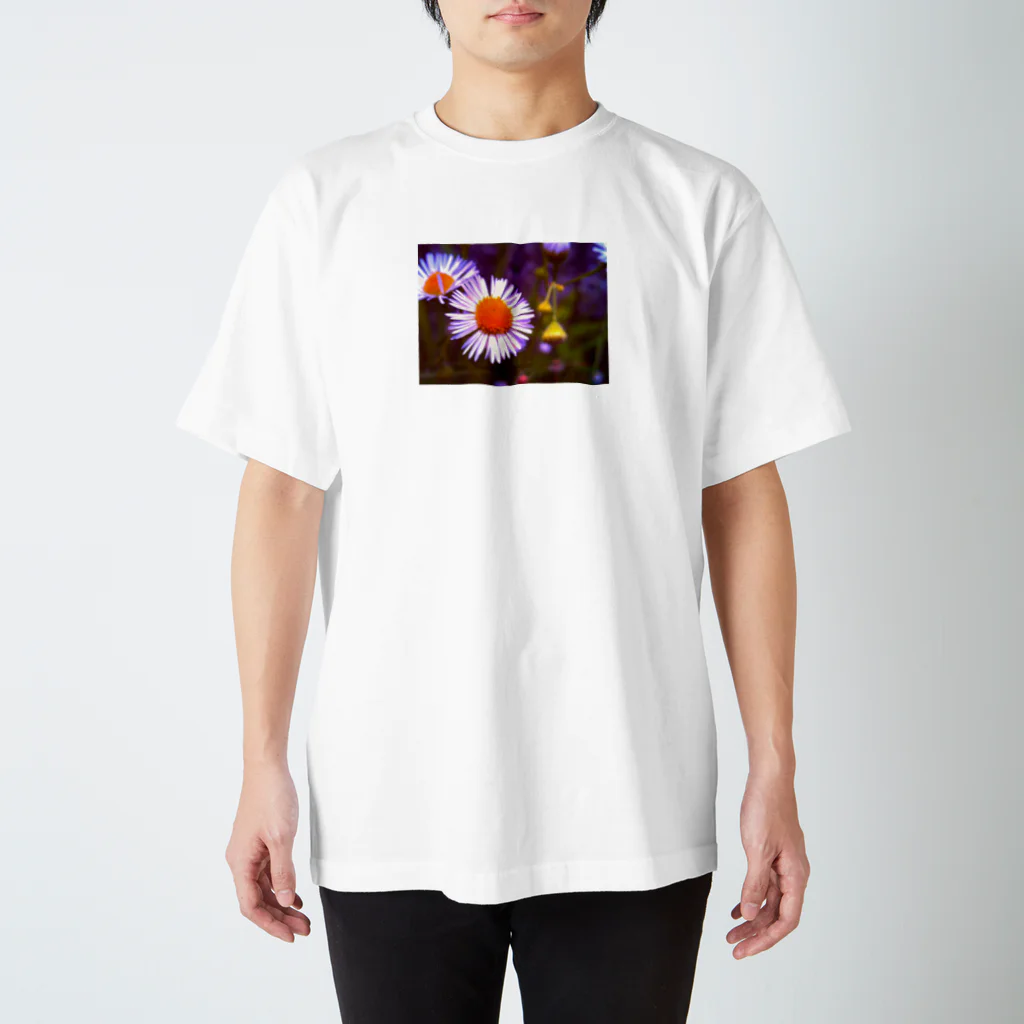 WARITOSUKIのノリで撮ったその辺に咲いてる花 Regular Fit T-Shirt