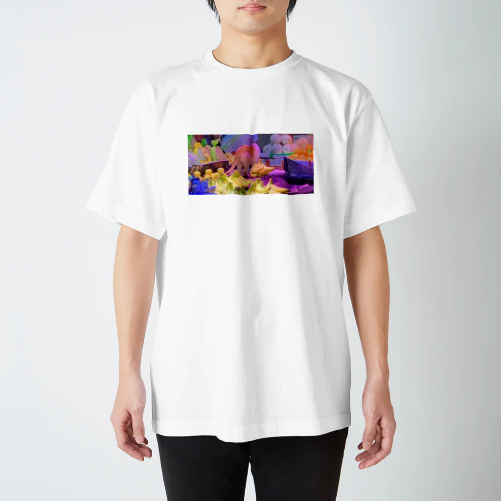 乾物のNYANKETSU スタンダードTシャツ