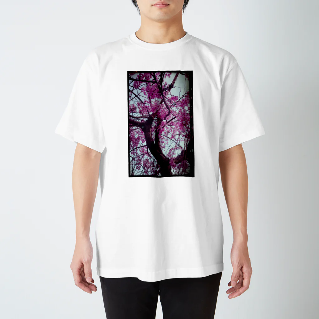 (ゆえ°³°)_( :3 」 )_の花)桜ヴィンテージ Regular Fit T-Shirt