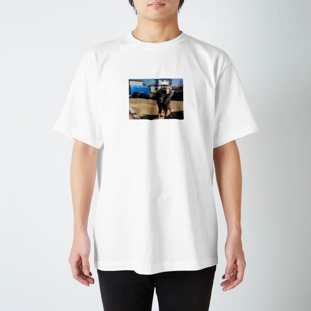 nonsenseSPの元気犬 スタンダードTシャツ