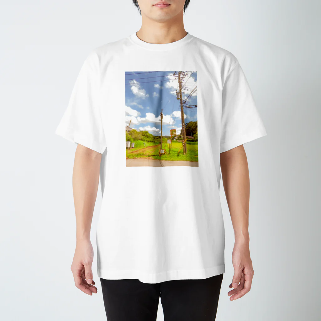 彩(   ᷇࿀ ᷆  )水のあの夏へ帰ろうよ スタンダードTシャツ