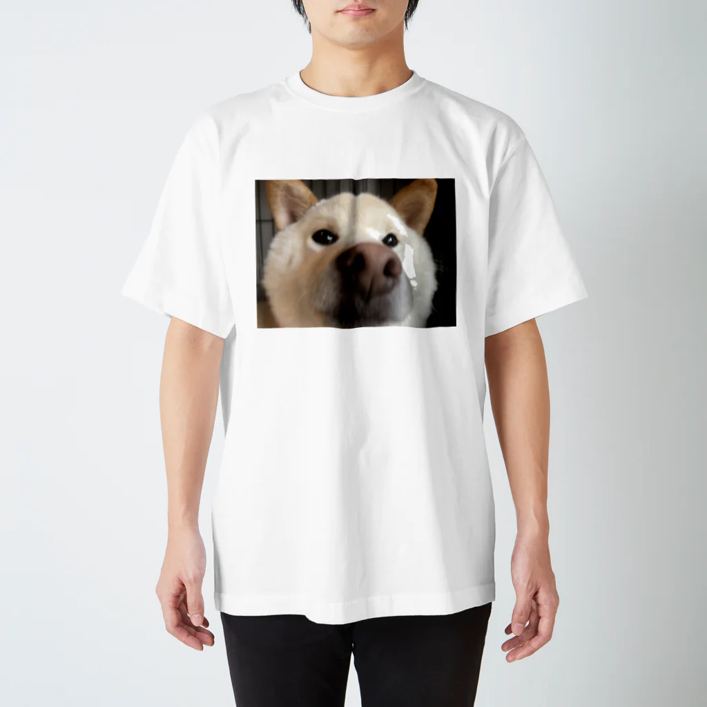 チームらんまるくん🐶の鼻でからんまるくん Regular Fit T-Shirt