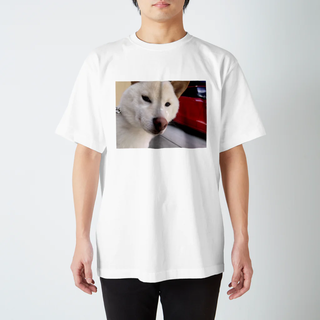 チームらんまるくん🐶のキリッとしたらんまるくん Regular Fit T-Shirt