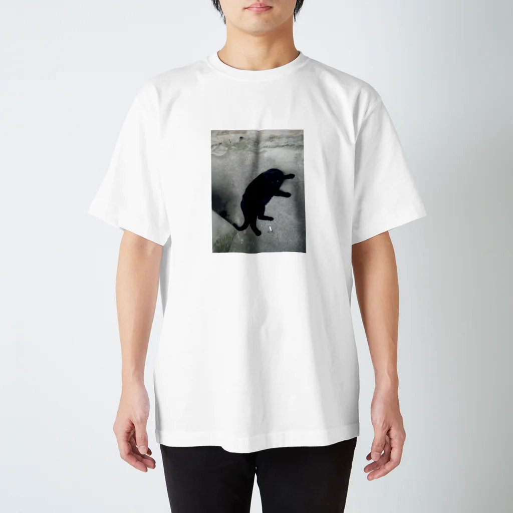 乾物のKURONEKO Regular Fit T-Shirt