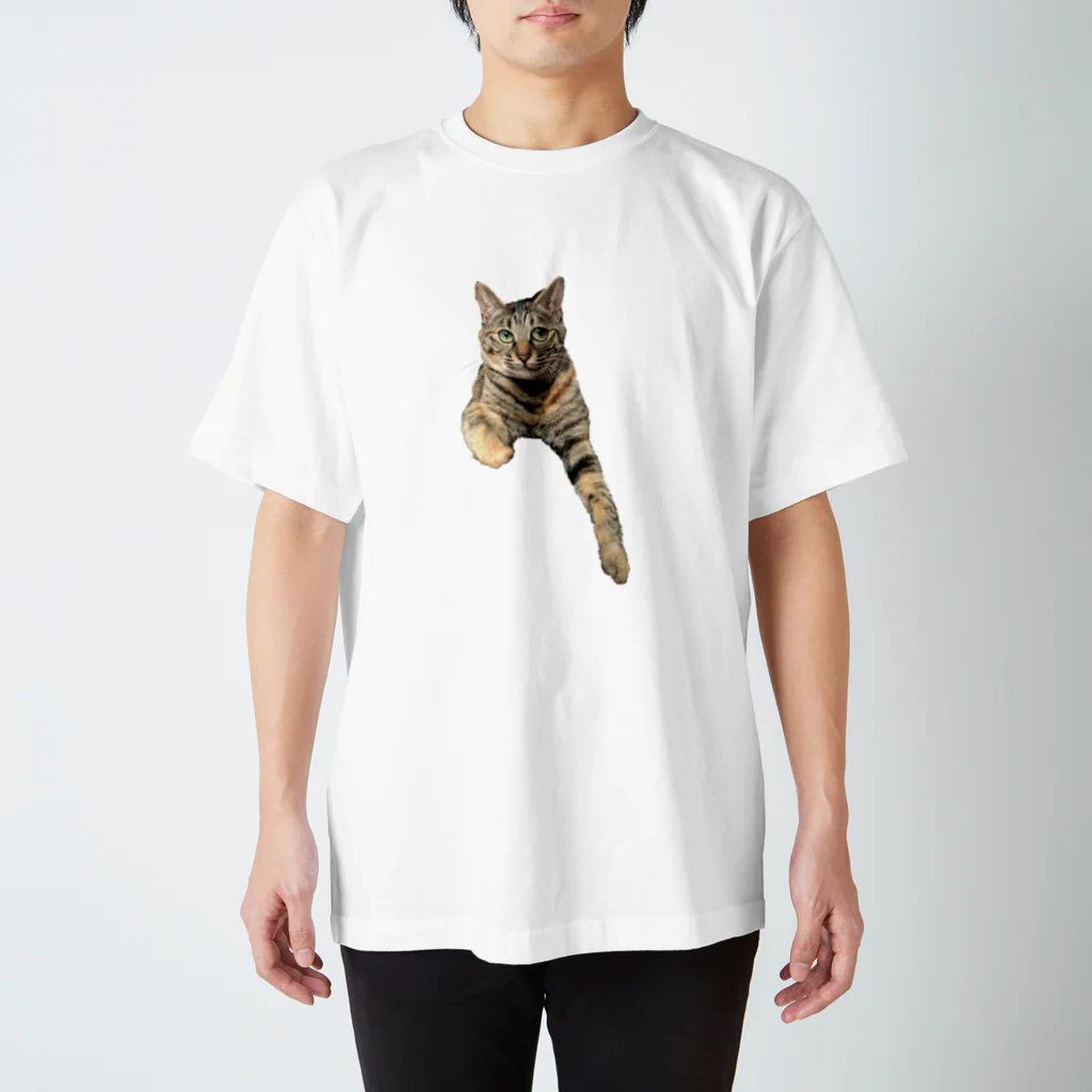 ねこまちランドの飛び出す猫モカ写真 Regular Fit T-Shirt
