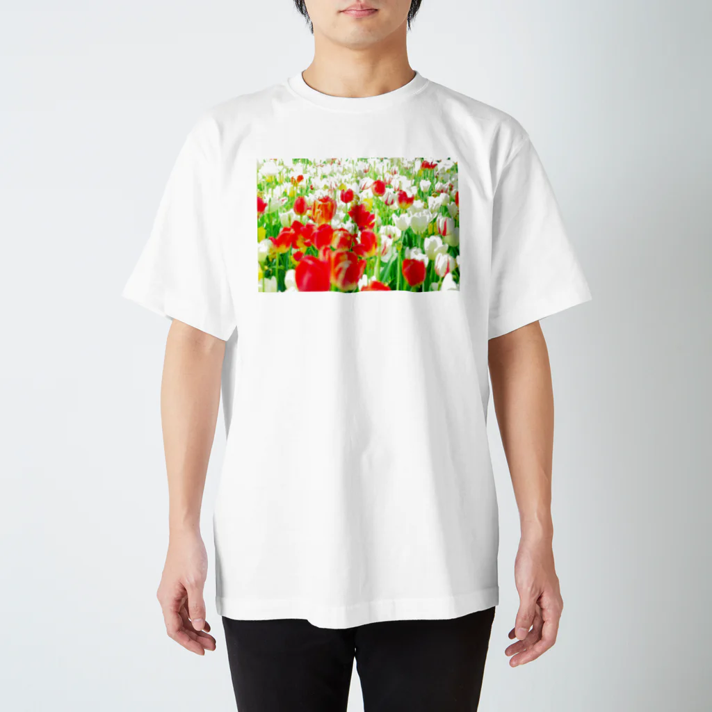 rinrin-goのあかしろきいろ スタンダードTシャツ