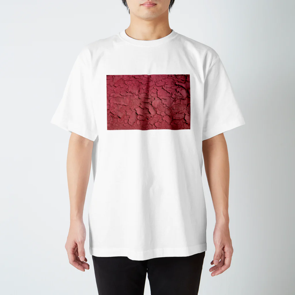 EagleValleyのKAWAKI_r Regular Fit T-Shirt