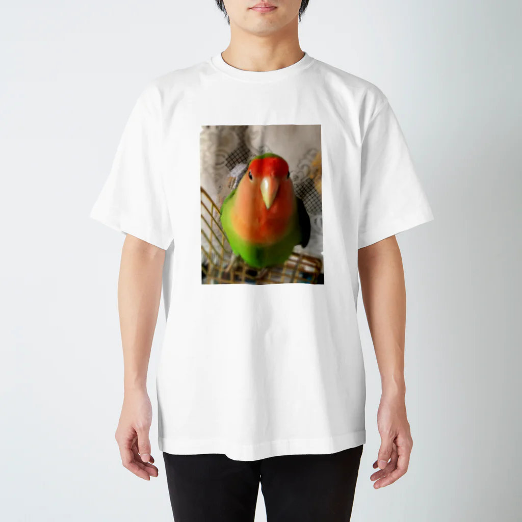 JADEのインコ界の用心棒、ジェイド之介 Regular Fit T-Shirt