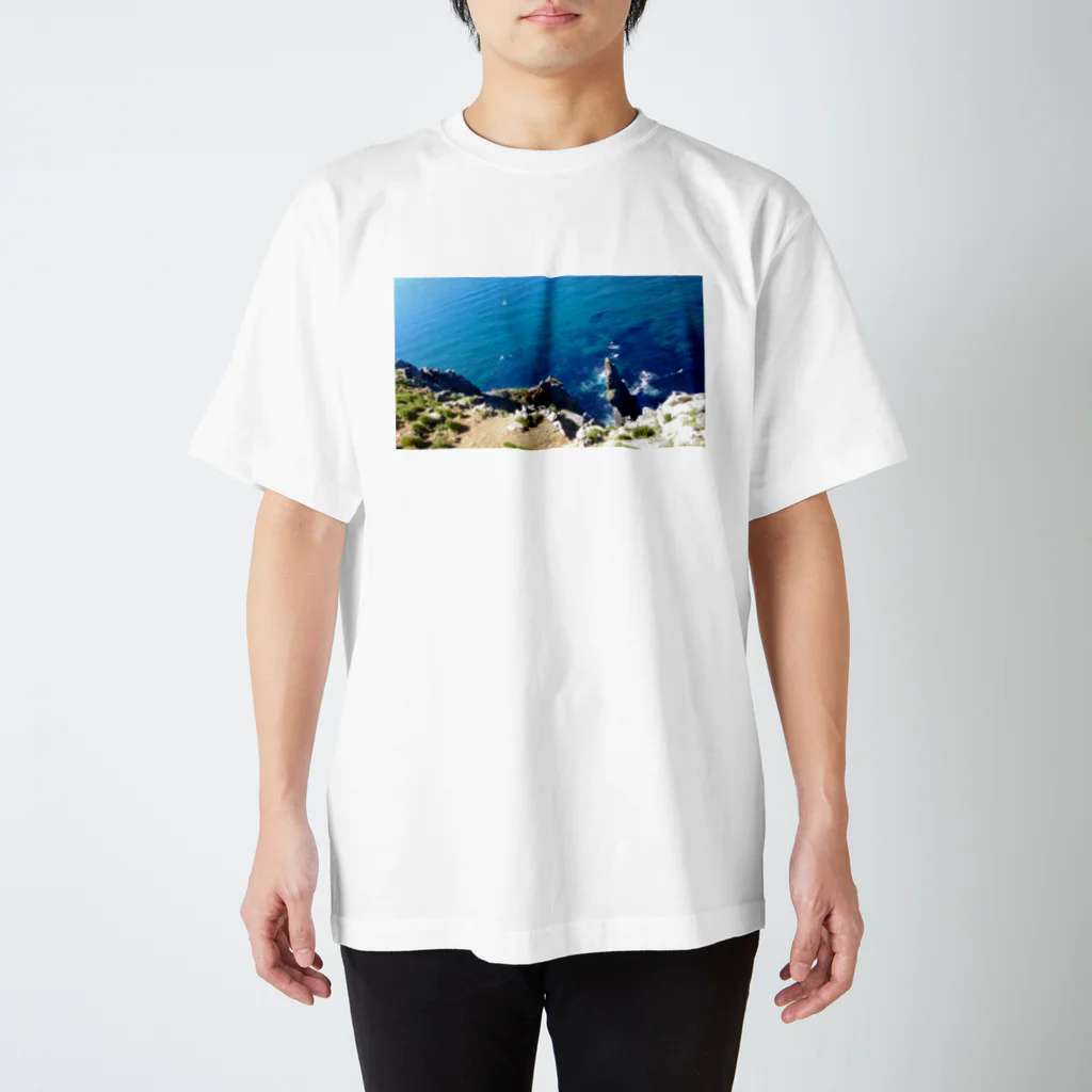 淡海のteuru Regular Fit T-Shirt