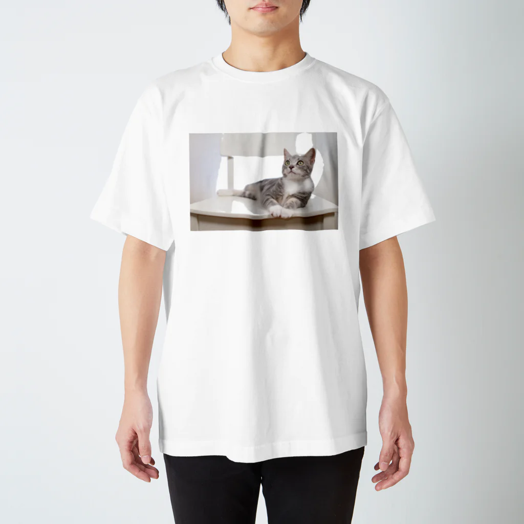 Aiko Nakanoのcat_20190506_8165 スタンダードTシャツ