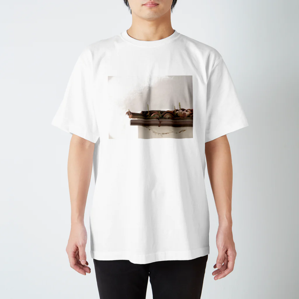 すみれ色のいえのイタリアの屋根 Regular Fit T-Shirt