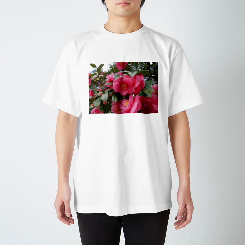 fun timeのPink camelia blooming カメリア スタンダードTシャツ