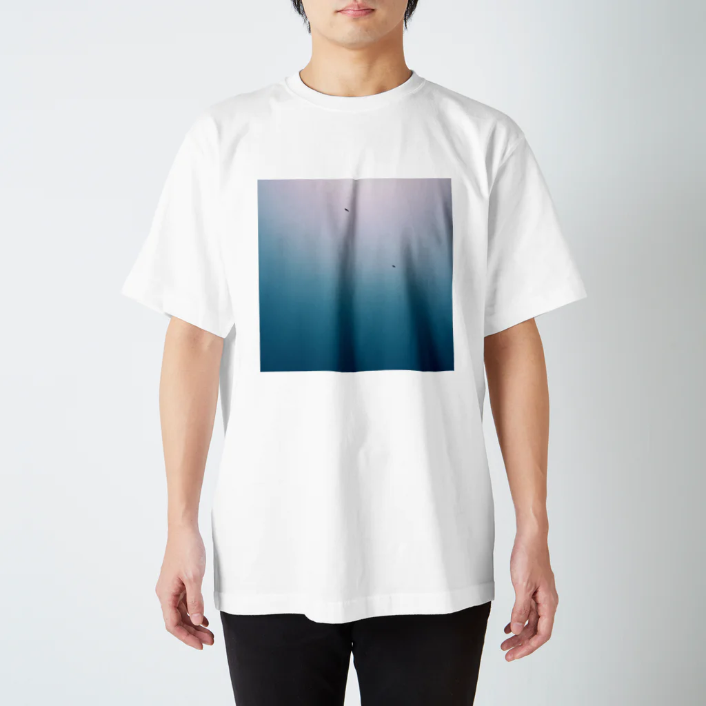 bird clipsのトリトソラ スタンダードTシャツ