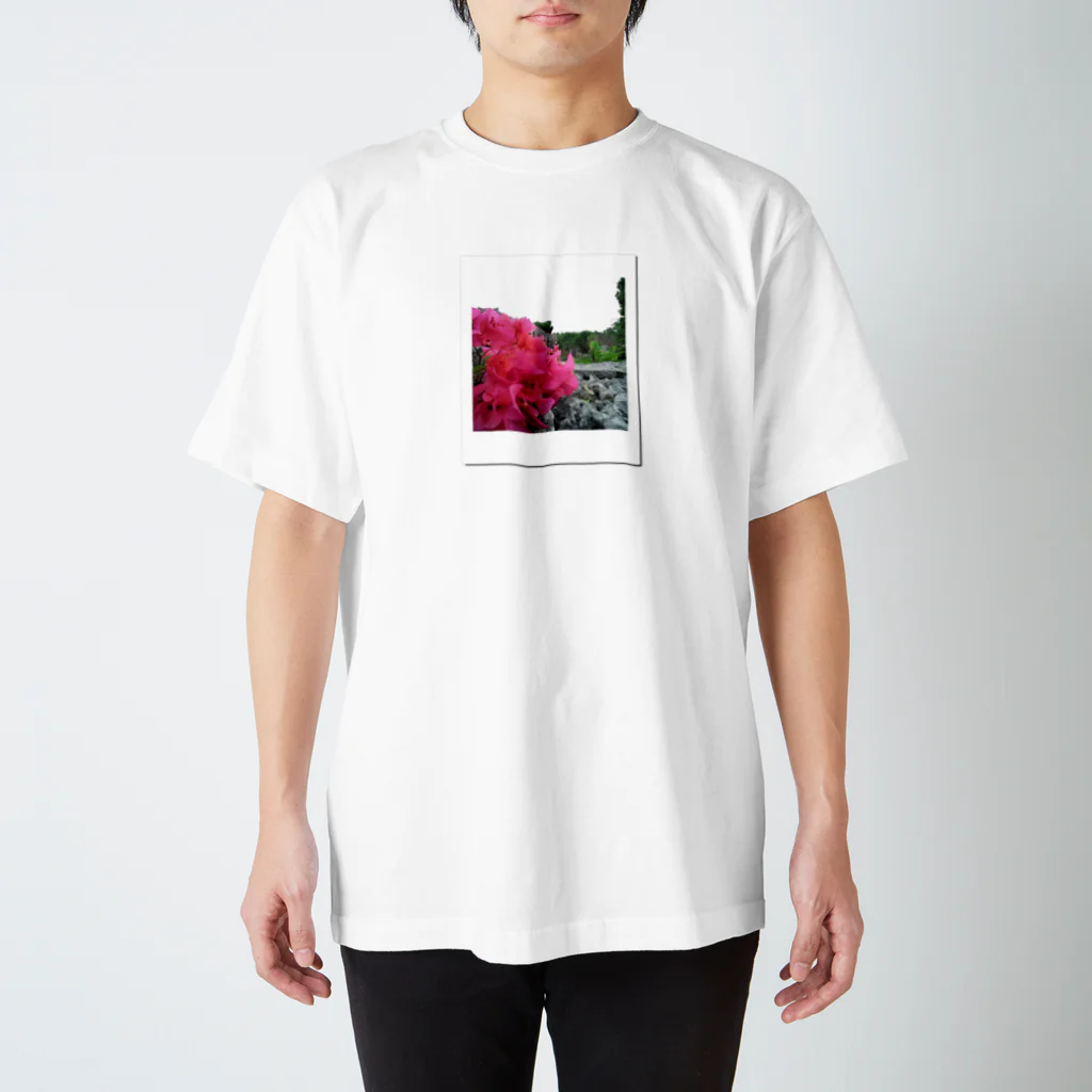 チェキTのハイビスカス Photoby cheki スタンダードTシャツ