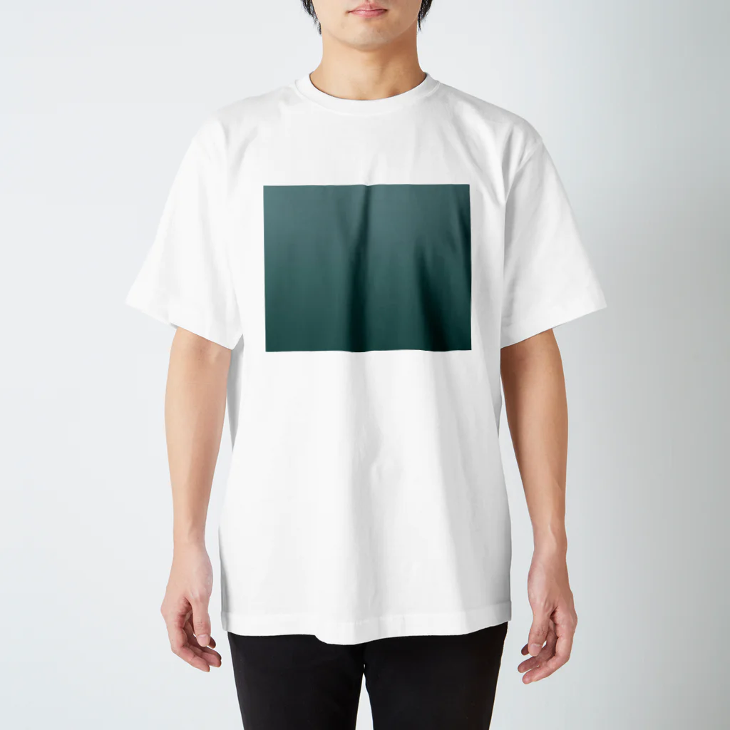 ざわのハトな色 Regular Fit T-Shirt