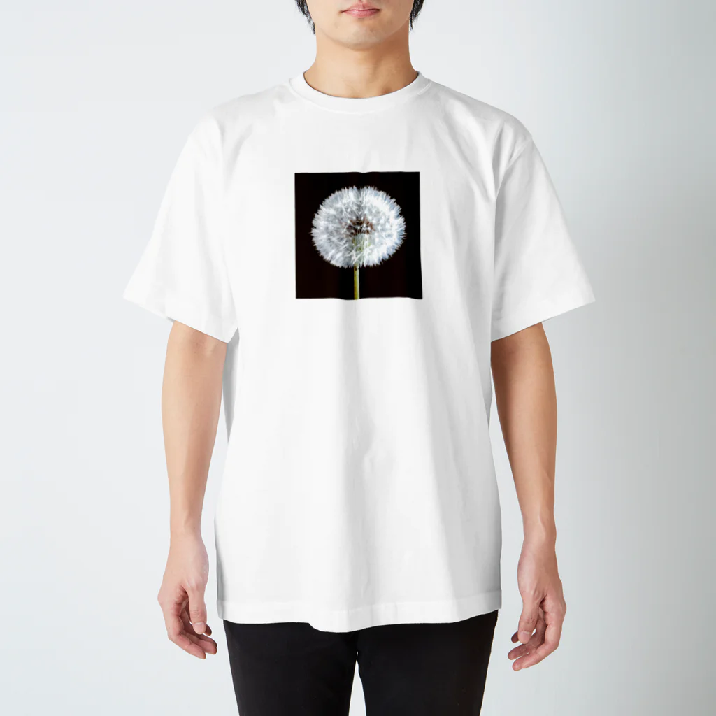 po_ta_mosのタンポポ　「植物の肖像画」シリーズ Regular Fit T-Shirt