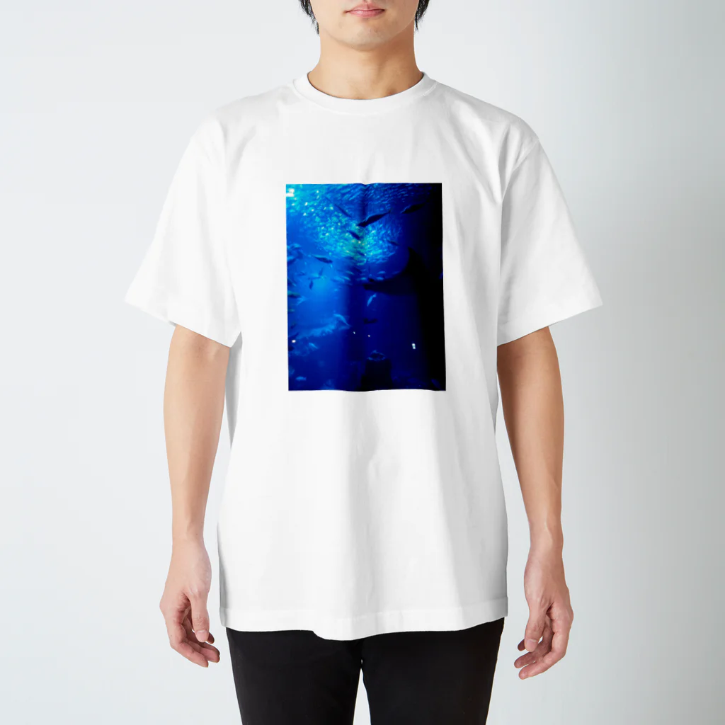 Tricolor-Catの深海の示現。 スタンダードTシャツ