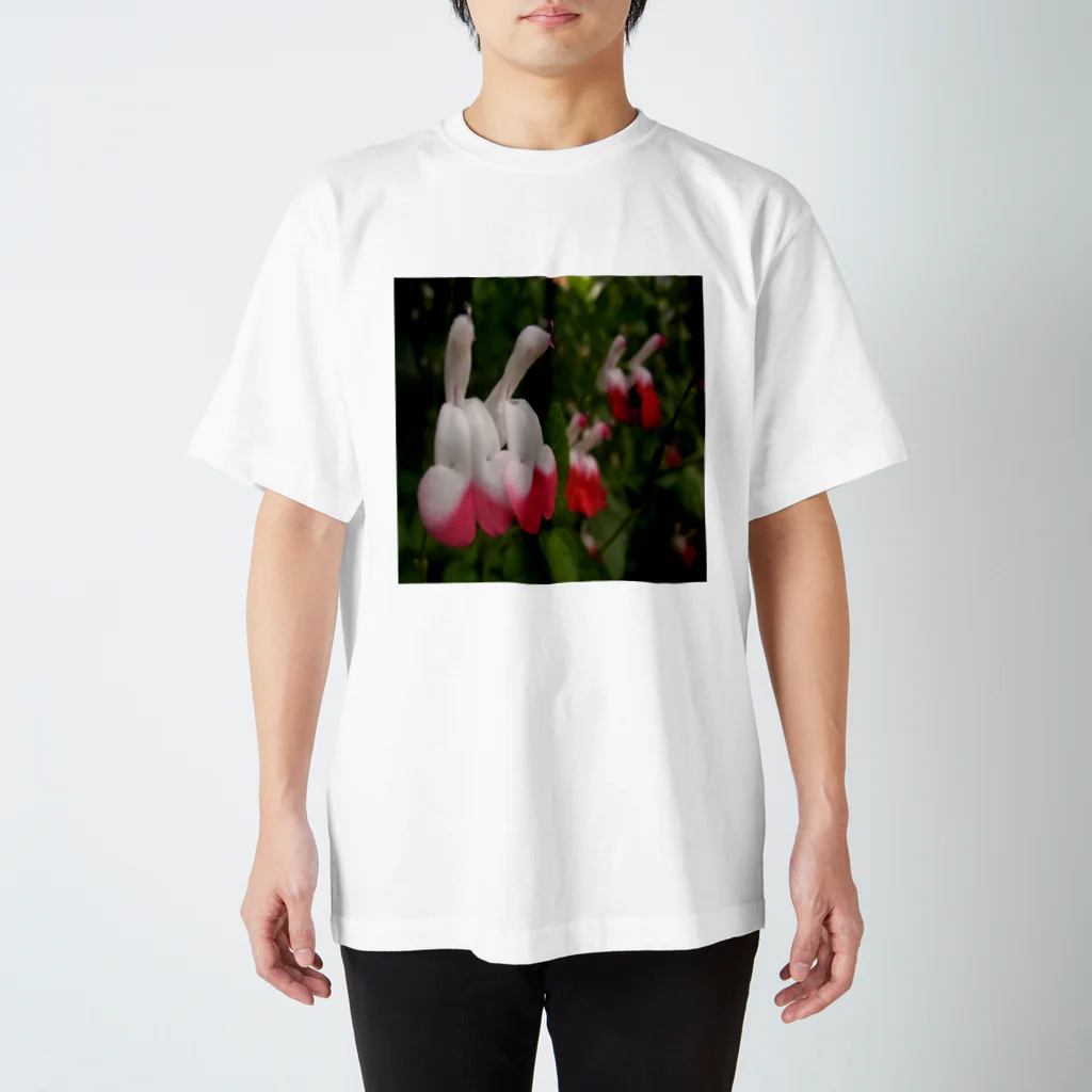 アズペイントの花風景 スタンダードTシャツ