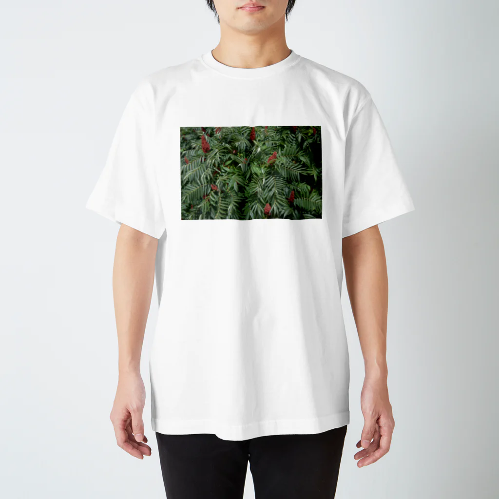 とみたの植物 スタンダードTシャツ