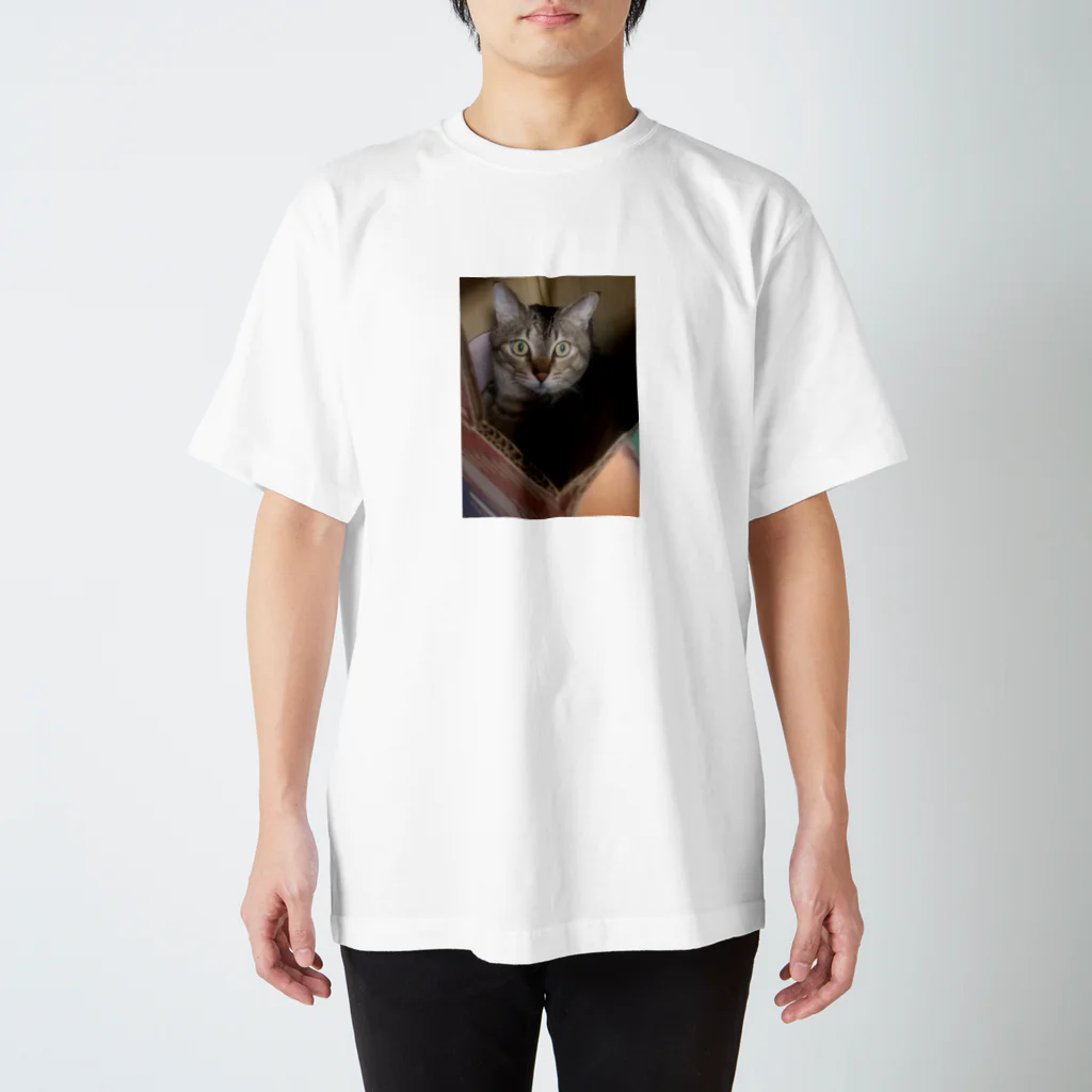 影森美奈子のKizitoranyan Regular Fit T-Shirt