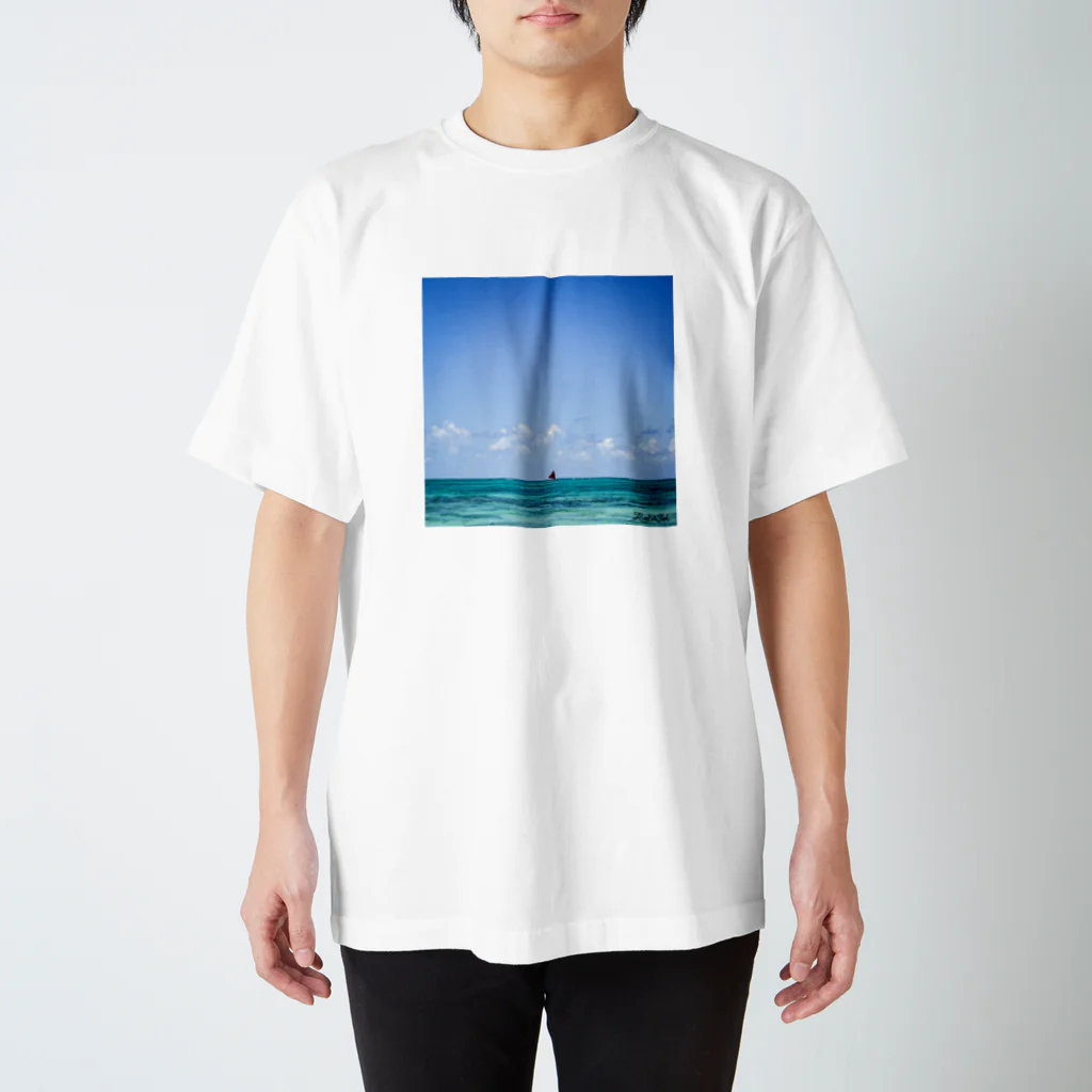 AlohaSolのAlohaSol Original Photo スタンダードTシャツ