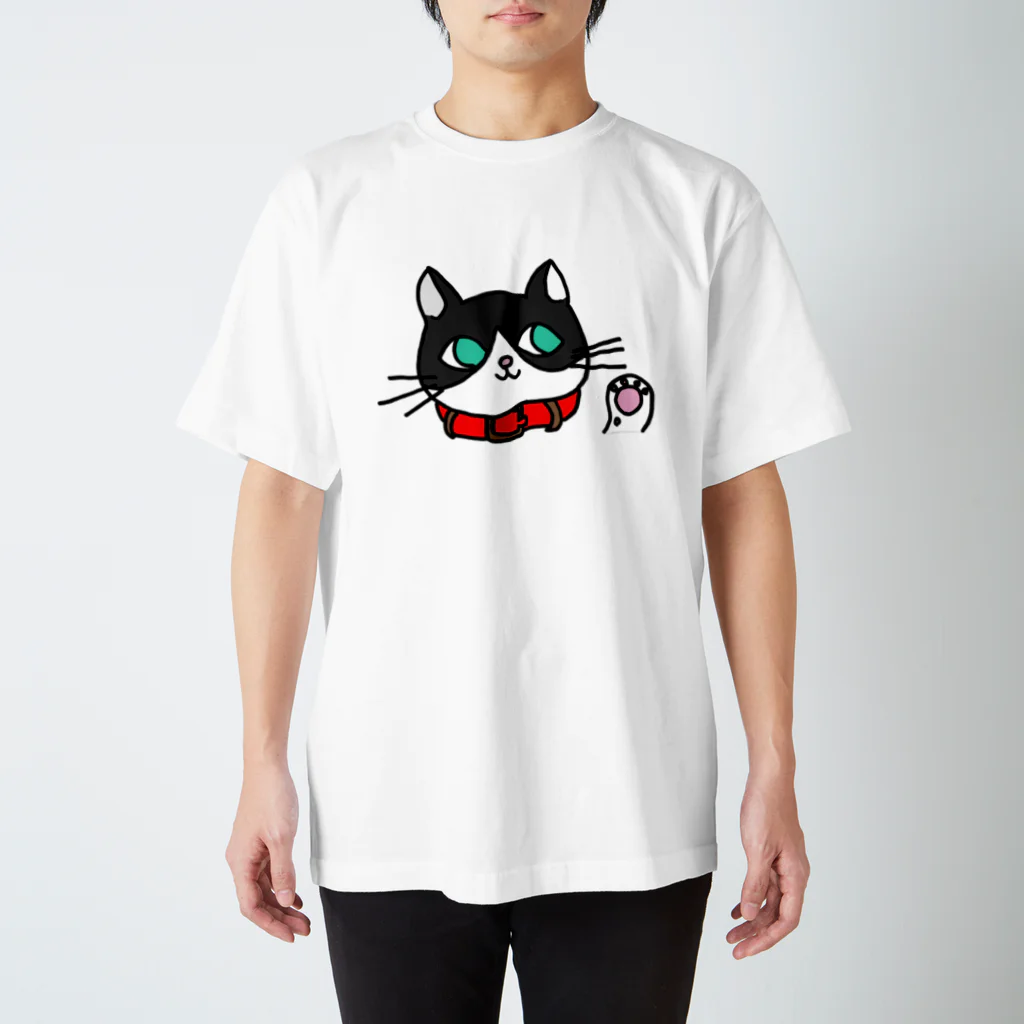 フトンナメクジのみゅうみゅうフェイス - miumiu face スタンダードTシャツ