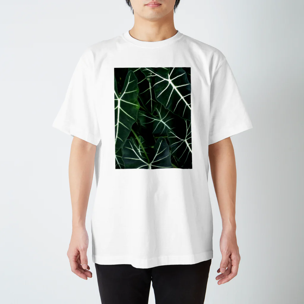 KIKIの南国のはっぱ 編 Regular Fit T-Shirt