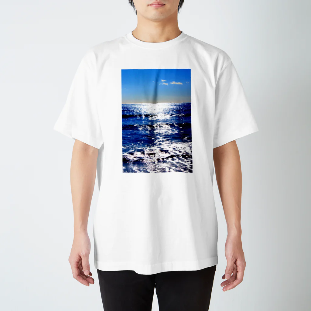 marinaの青海 Regular Fit T-Shirt