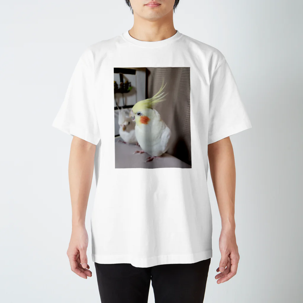 okame-okameのオカメインコの鼻とYU-KI スタンダードTシャツ