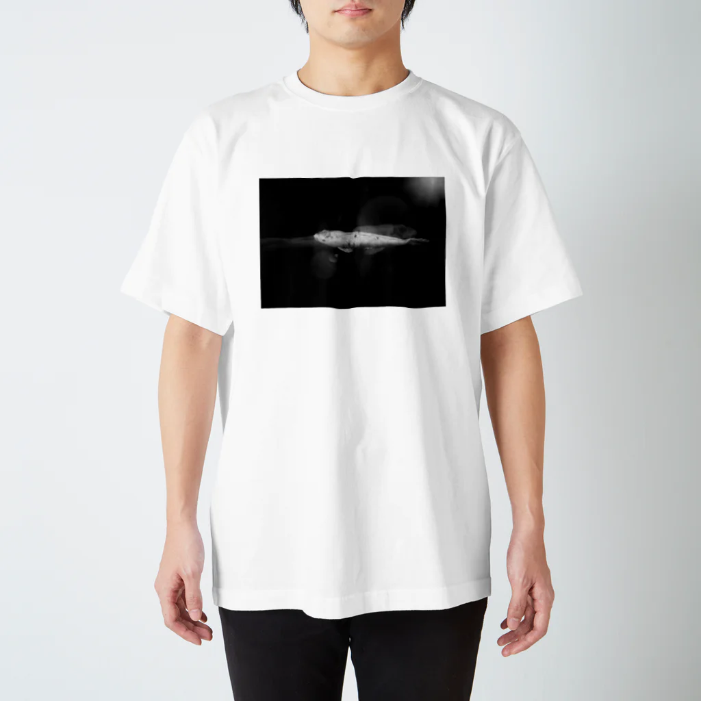 永久凍土の国の白夜の陰陽２０１９ Regular Fit T-Shirt