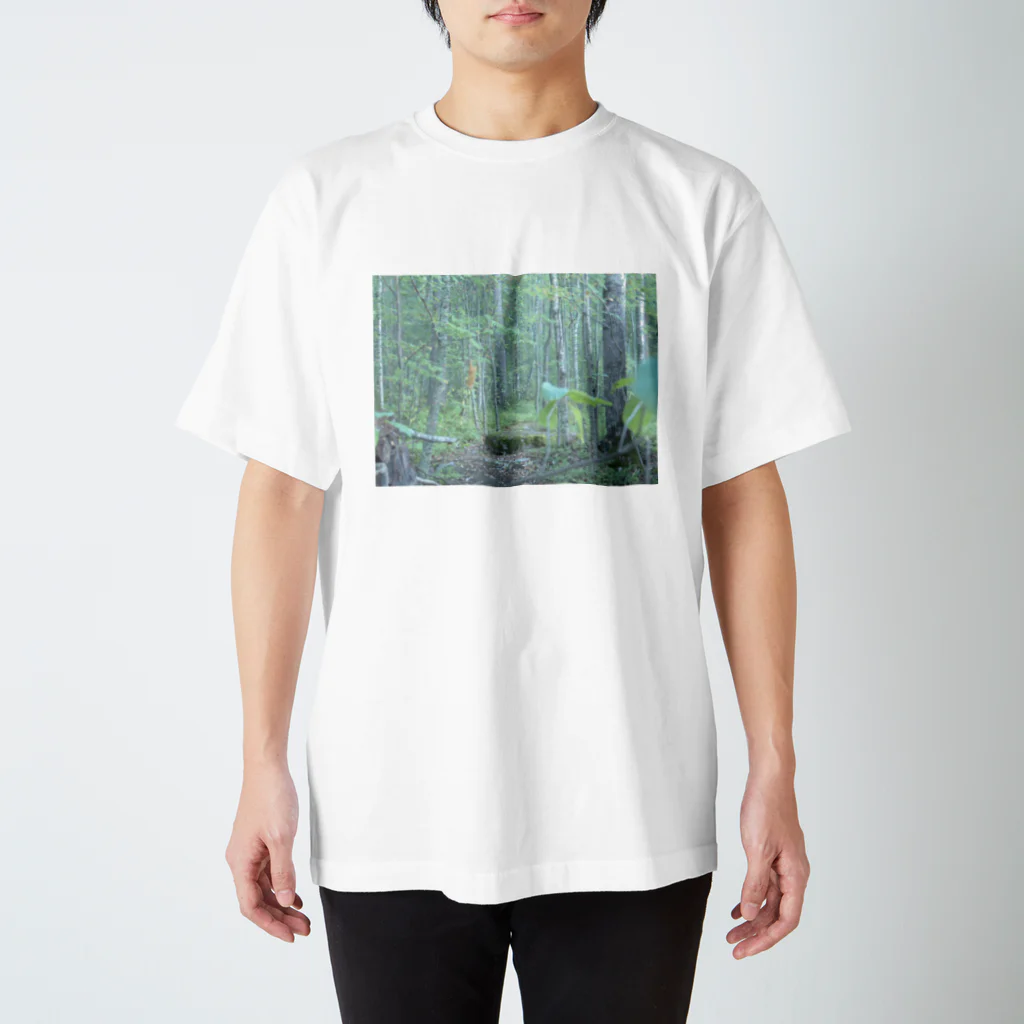 Instrumental00のもり Regular Fit T-Shirt