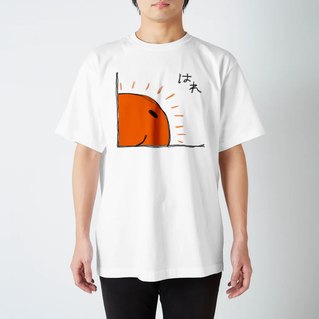 かどんちゅのかどんちゅ「はれ」グッツ！ スタンダードTシャツ