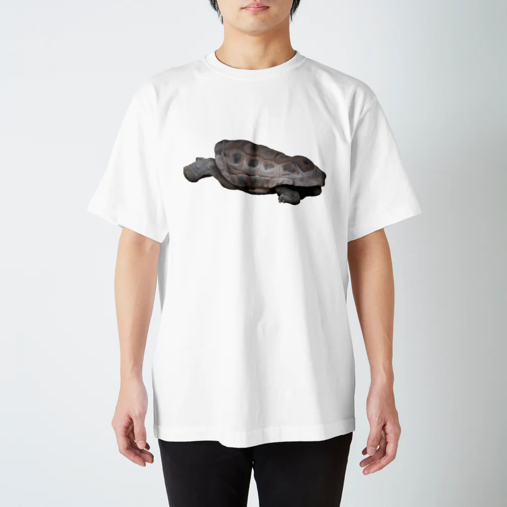 Yusuke Saitohのカメ スタンダードTシャツ