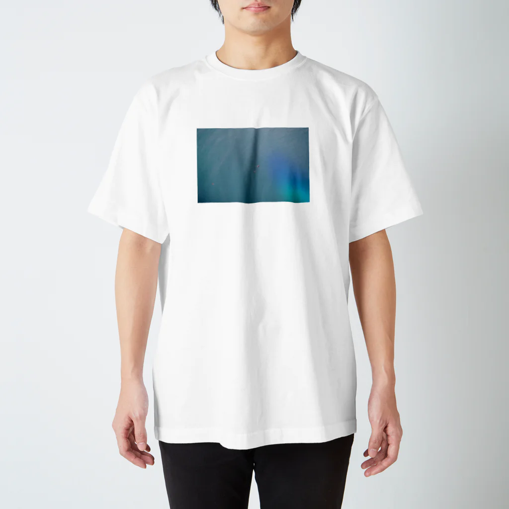yuna yagiのjelly fish  Regular Fit T-Shirt