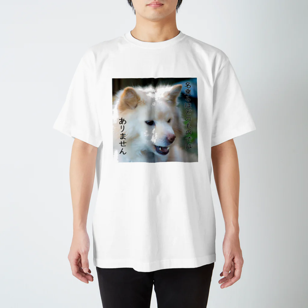 こみゐ本舗-レンズキャップをデコる人の名乗るほどのものではありません スタンダードTシャツ