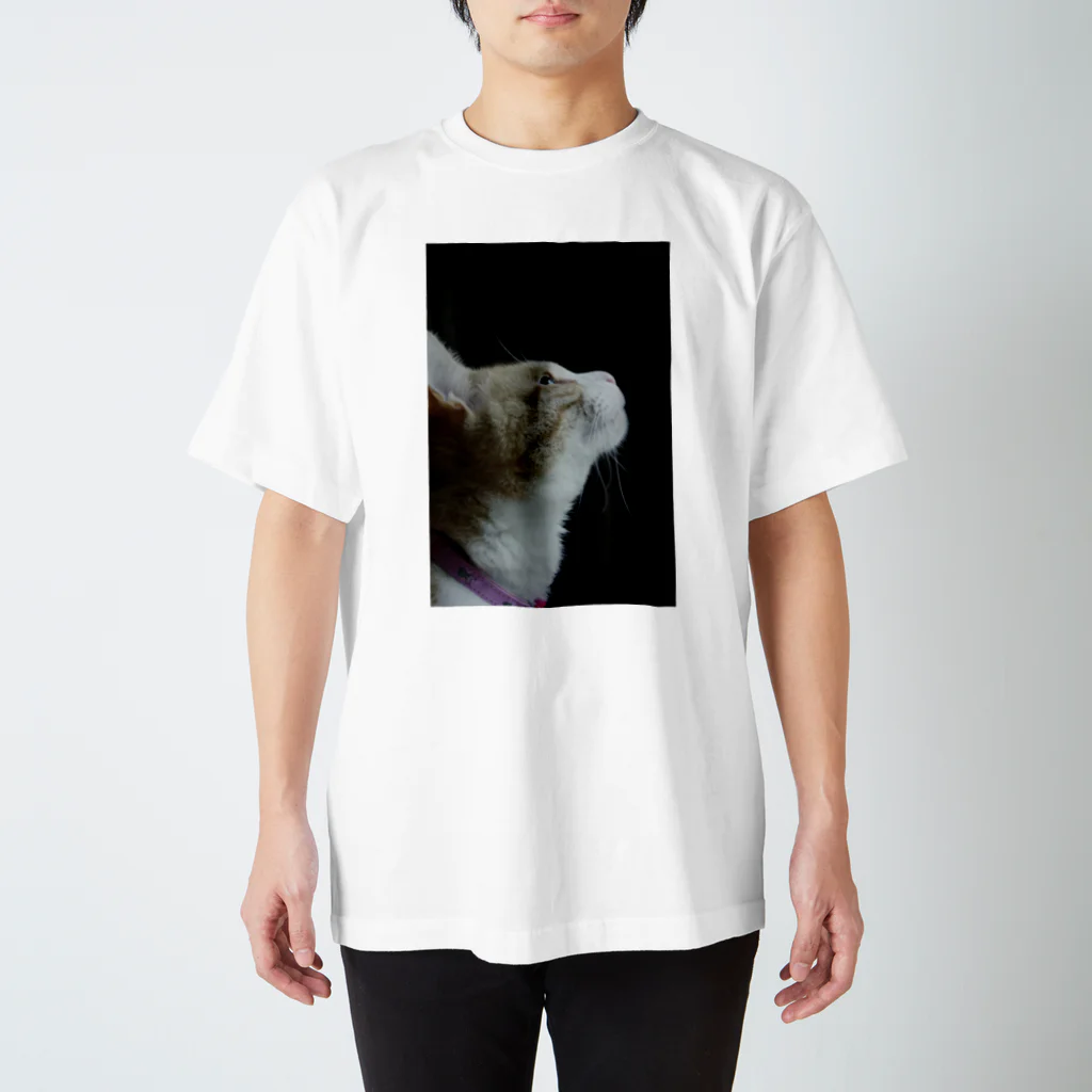 Catoneの猫写真シリーズ Regular Fit T-Shirt