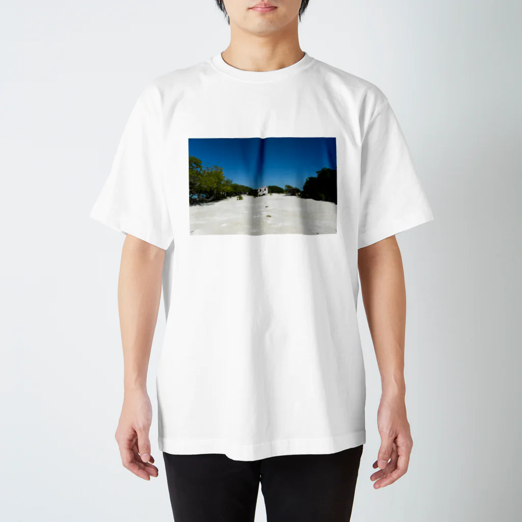 relaxmax on the roadのSomewhere beautiful  スタンダードTシャツ