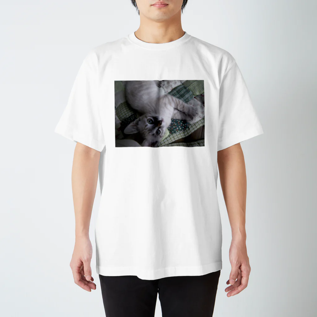 nekosanbikitokurasuhitoの仔猫のすみ20090621 スタンダードTシャツ