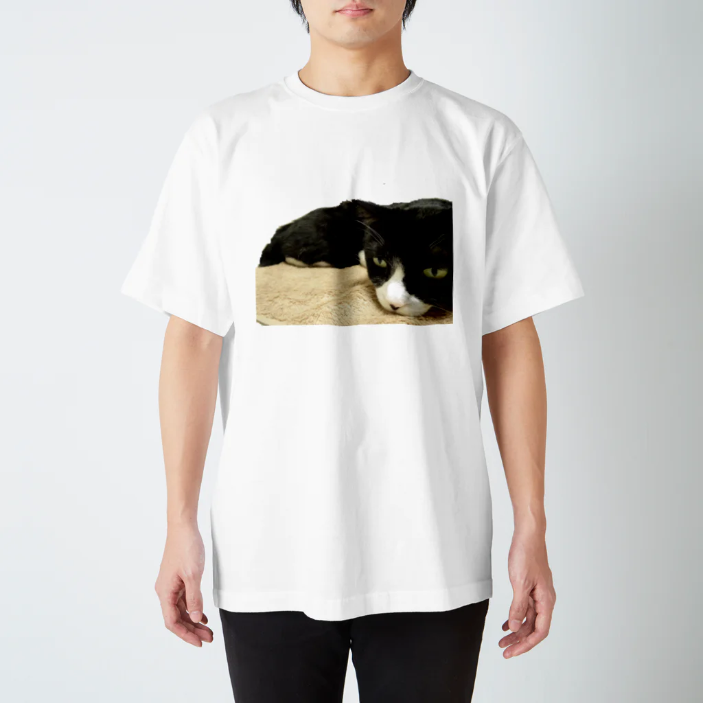 小招猫 is Fukuronekoのじと目のお猫様 スタンダードTシャツ