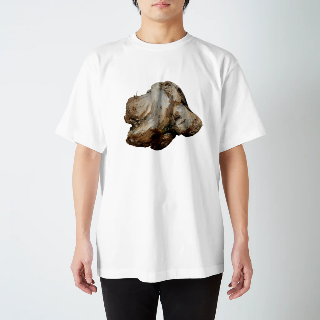 Yusuke Saitohの流木 Regular Fit T-Shirt