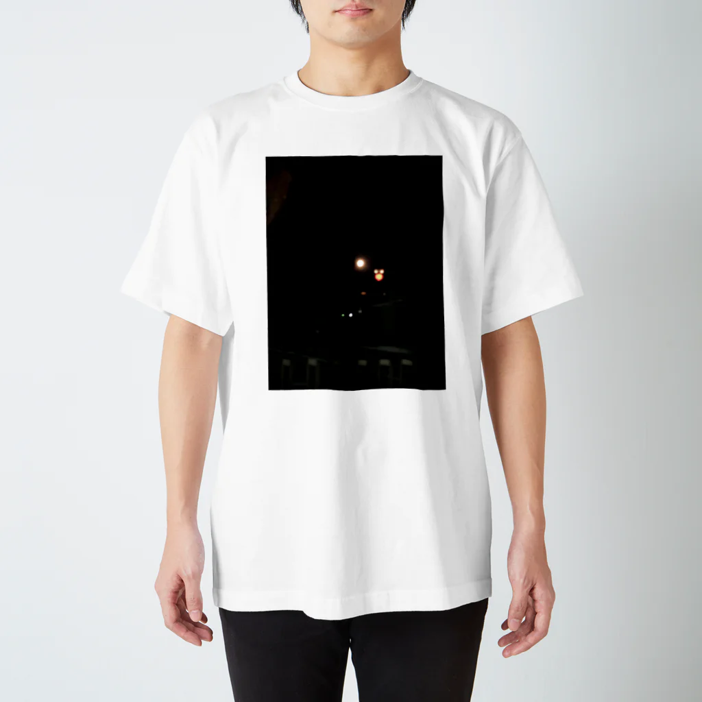 ラビットカモフラージュの夜景A Regular Fit T-Shirt