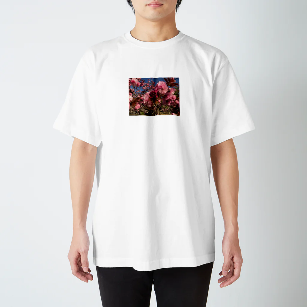 fleurirの花 ピンク 写真 Regular Fit T-Shirt