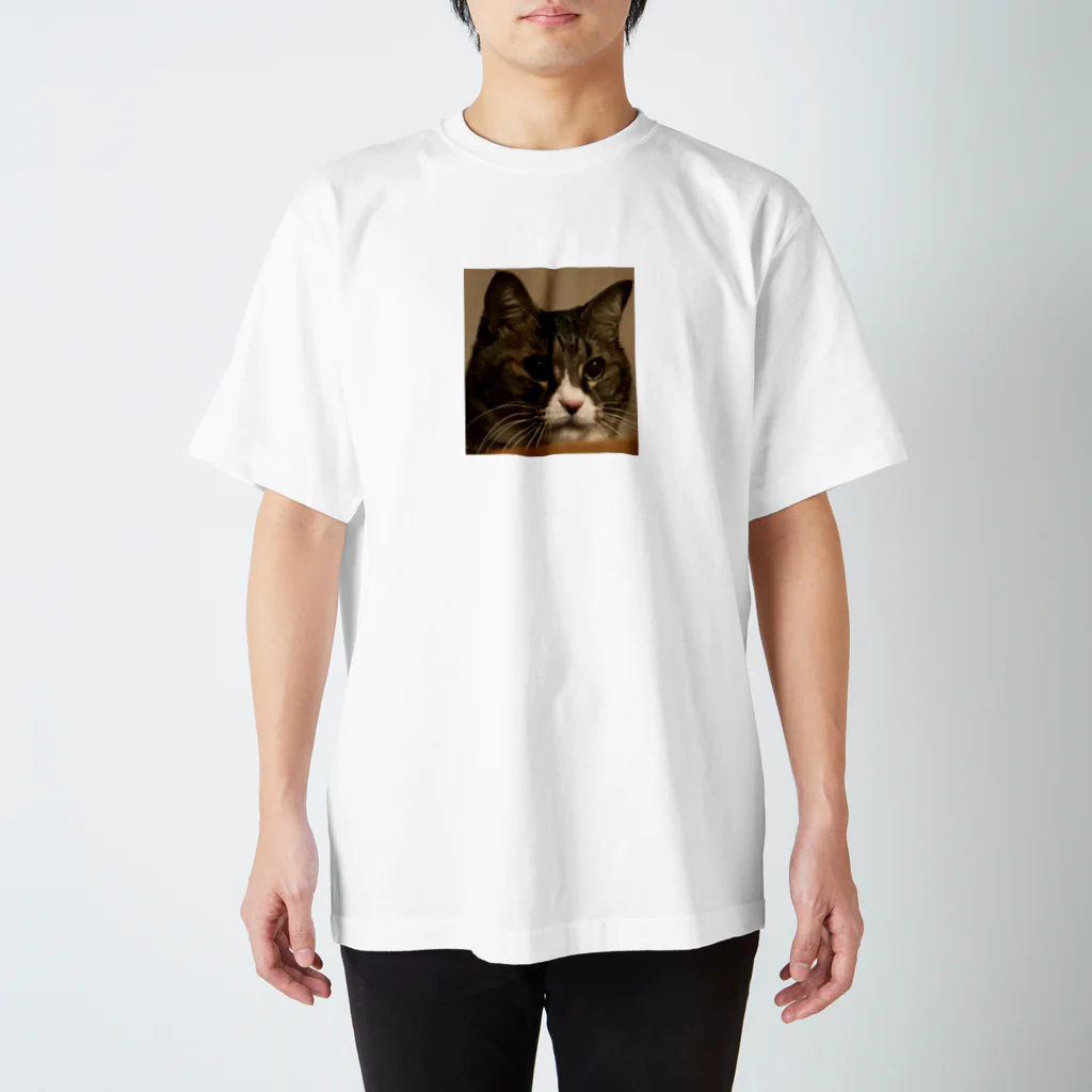 ABUJUNの猫のゴロ君   スタンダードTシャツ