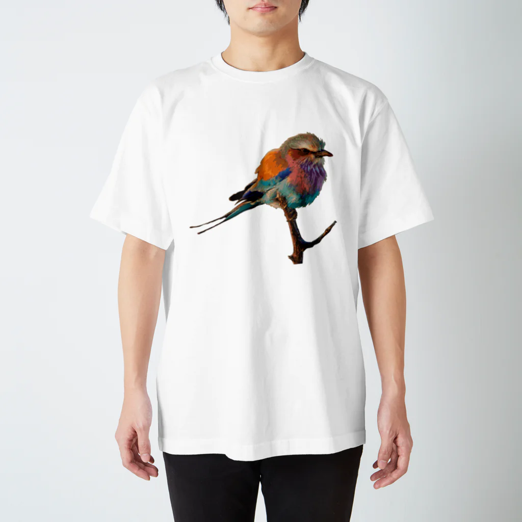 自分が着たいと思うTシャツを作るのカラフルな鳥さん Tシャツ Regular Fit T-Shirt